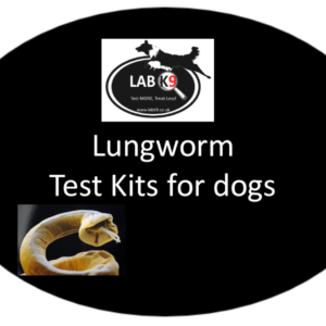 Lungworm Test Kits